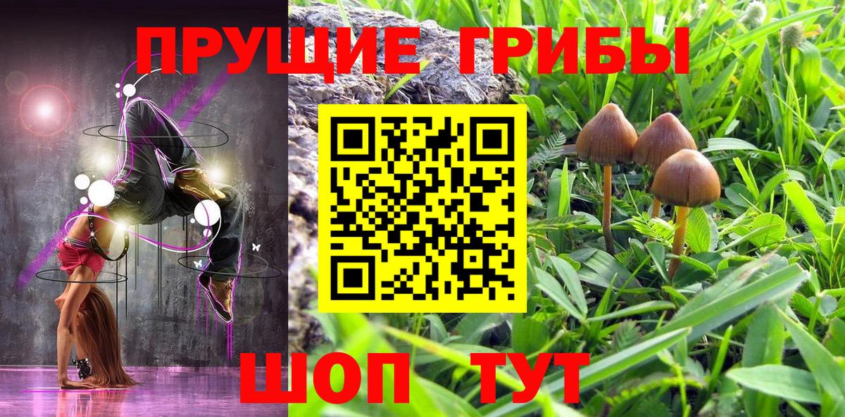 купить наркотик  Псилоцибиновые грибы прущие грибы  Пенза  Вход с VPN  Псилоцибиновые грибы прущие грибы 
